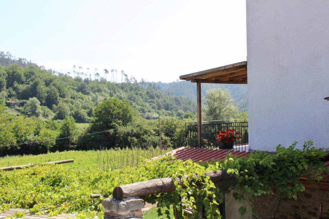Agriturismo La Ferriera ピニョーネ エクステリア 写真