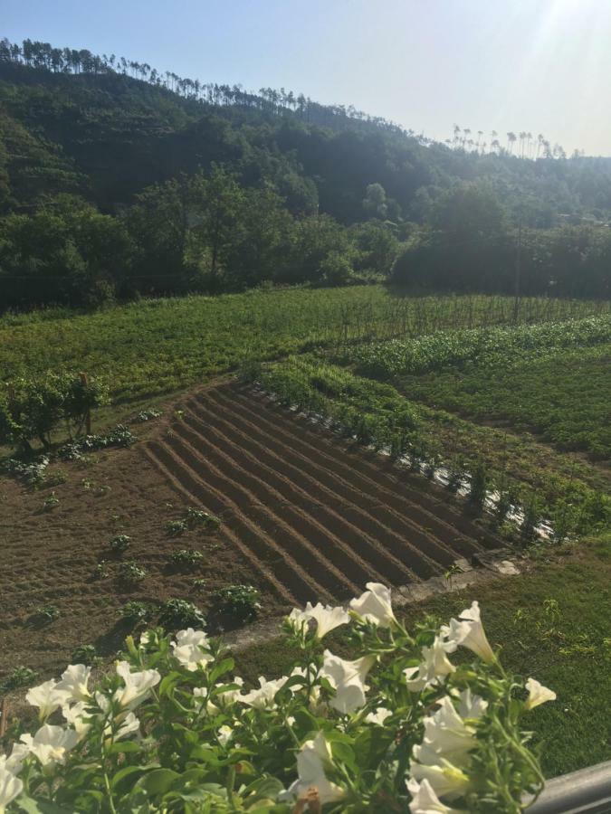 Agriturismo La Ferriera ピニョーネ エクステリア 写真
