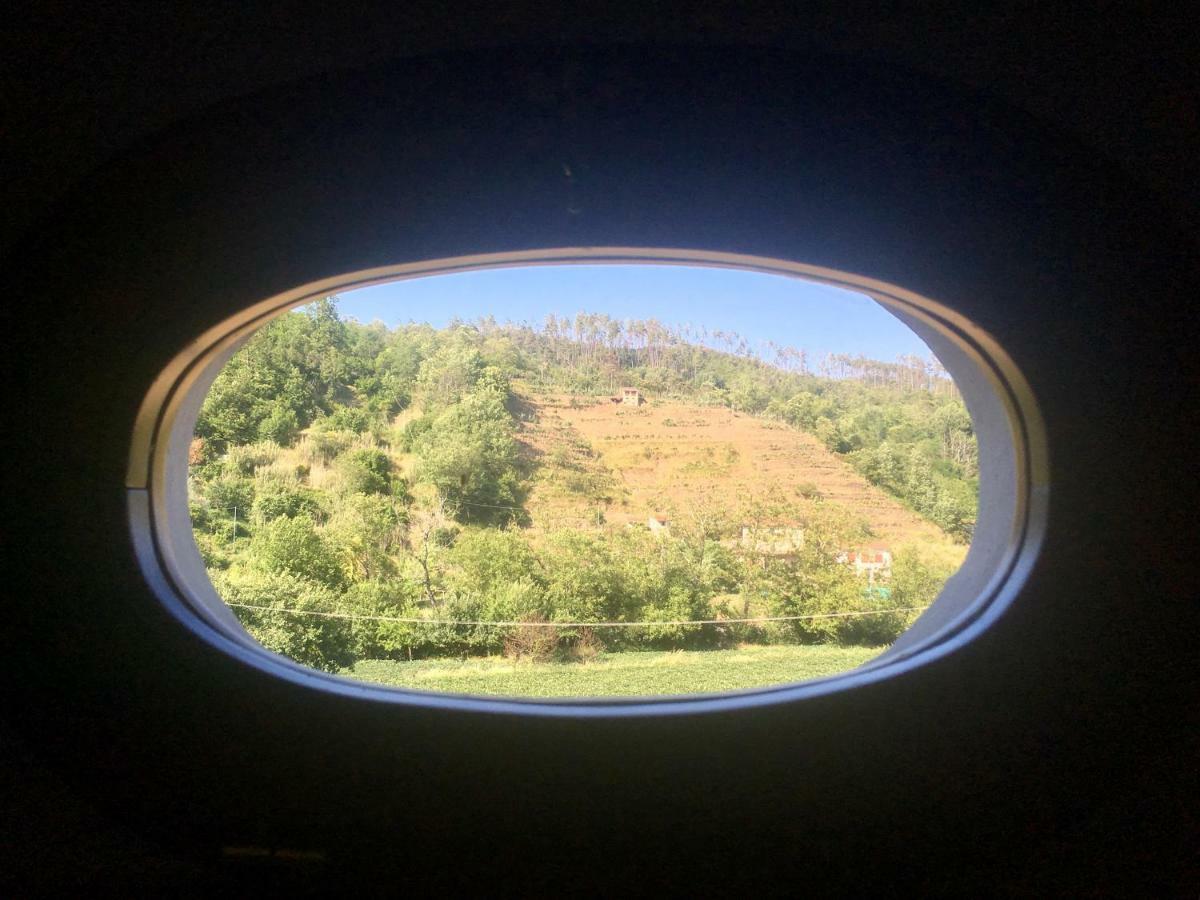 Agriturismo La Ferriera ピニョーネ エクステリア 写真
